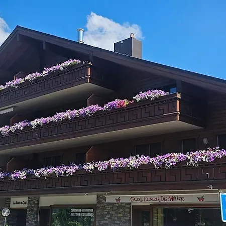 Chalet Di Charme In Centro *